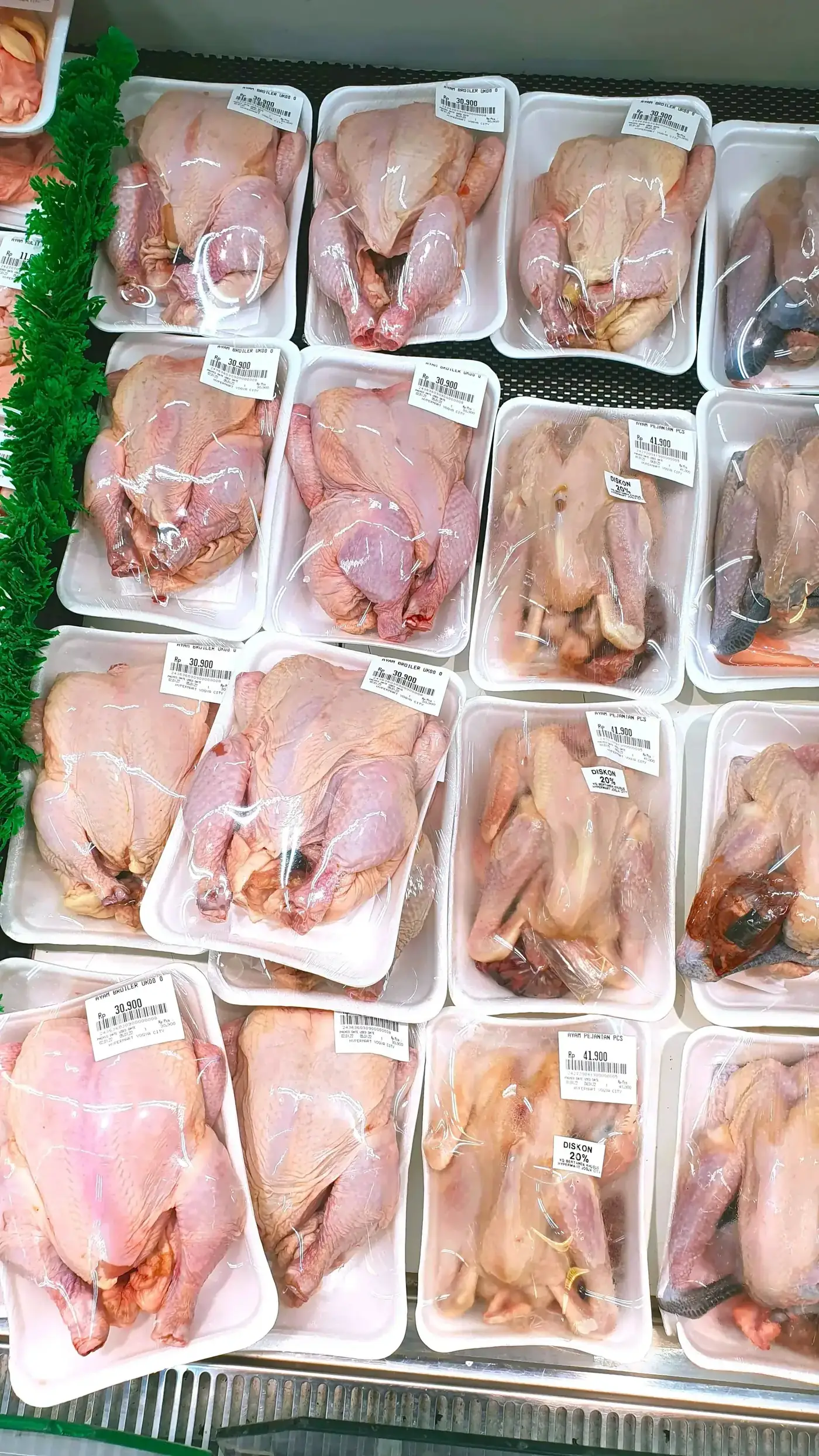 Cold Chain for Poultry: Why Temperature Control From Farm to Market Matters
